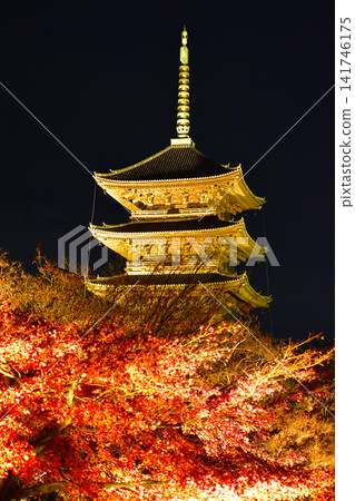 Autumn illuminations at Toji Temple in Kyoto Autumn illuminations at Toji Temple in Kyoto 141746175