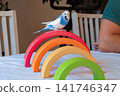 Blue white budgie perched on armrest, quiet indoor portrait of tame parakeet showcasing speckled plumage and delicate beak, soft neutral background, closeup resting pose conveying companion bird vibe 141746347
