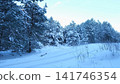 Beautiful winter forest road covered with fresh white snow. Pine fir trees with snow caps. Scenic natural landscape, perfect for seasonal travel or holiday. Seasonal Holiday Marketing, Winter Backdrop 141746354