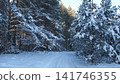 Beautiful winter forest road covered with fresh white snow. Pine fir trees with snow caps. Scenic natural landscape, perfect for seasonal travel or holiday. Seasonal Holiday Marketing, Winter Backdrop 141746355