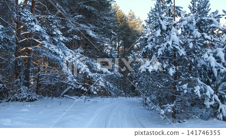 Beautiful winter forest road covered with fresh white snow. Pine fir trees with snow caps. Scenic natural landscape, perfect for seasonal travel or holiday. Seasonal Holiday Marketing, Winter Backdrop Beautiful winter forest road covered with fresh white snow. Pine fir trees with snow caps. Scenic natural landscape, perfect for seasonal travel or holiday. Seasonal Holiday Marketing, Winter Backdrop 141746355