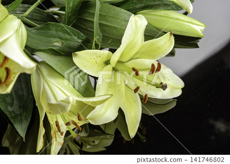 bouquet of lilies 141746802
