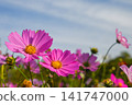 Cosmos 141747000