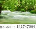 Oirase stream 141747004