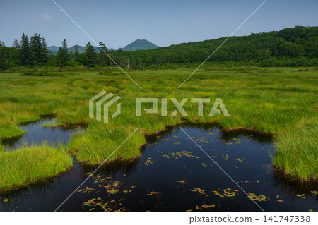 The beautiful natural scenery of wetlands and ponds spreading across Shinsennuma in Kyowa Town, Hokkaido. The beautiful natural scenery of wetlands and ponds spreading across Shinsennuma in Kyowa Town, Hokkaido. 141747338