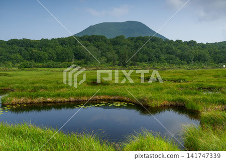 北海道協和町新仙沼遍布濕地和池塘,景色優美。 北海道協和町新仙沼遍布濕地和池塘,景色優美。 141747339
