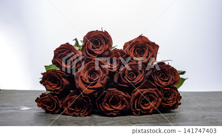 red roses on gray background red roses on gray background 141747403