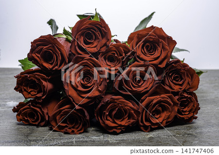 red roses on gray background red roses on gray background 141747406