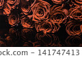 bouquet of red roses 141747413