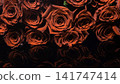bouquet of red roses 141747414
