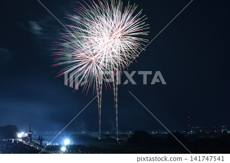 夏日夜空綻放的大型煙花 夏日夜空綻放的大型煙花 141747541