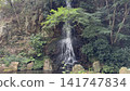 A small waterfall surrounded by lush greenery 141747834