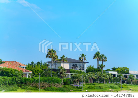 熱帶度假風格的城鎮景觀,擁有藍天、棕櫚樹和高級住宅區。 熱帶度假風格的城鎮景觀,擁有藍天、棕櫚樹和高級住宅區。 141747892