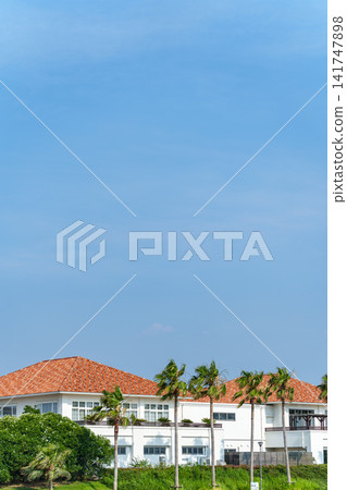 熱帶度假風格的城鎮景觀,擁有藍天、棕櫚樹和高級住宅區。 熱帶度假風格的城鎮景觀,擁有藍天、棕櫚樹和高級住宅區。 141747898