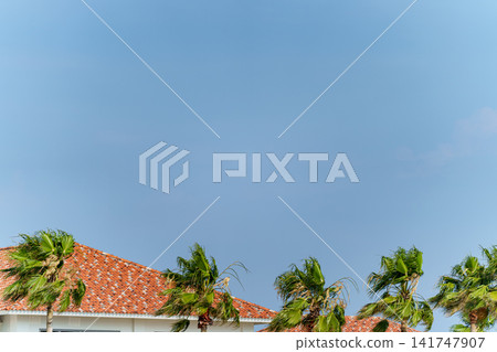 A tropical resort-style townscape with blue skies and palm trees, and upscale residential areas. A tropical resort-style townscape with blue skies and palm trees, and upscale residential areas. 141747907