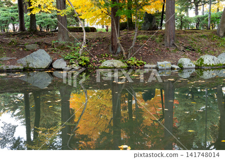溪水水面上倒映著公園裡楓樹的秋葉。 溪水水面上倒映著公園裡楓樹的秋葉。 141748014