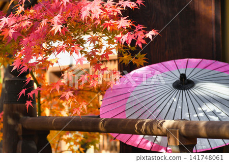 京都少林寺：美麗的秋葉（京都府京都市東山區） 141748061