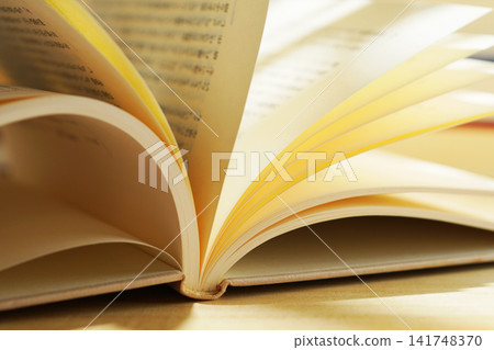 閱讀/翻書頁 閱讀/翻書頁 141748370