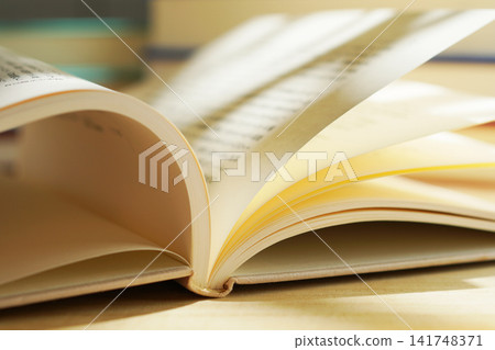 Reading / Turning the pages of a book Reading / Turning the pages of a book 141748371