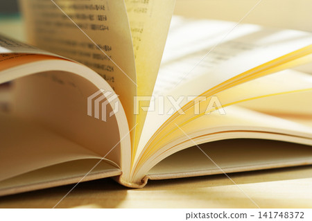 閱讀/翻書頁 閱讀/翻書頁 141748372