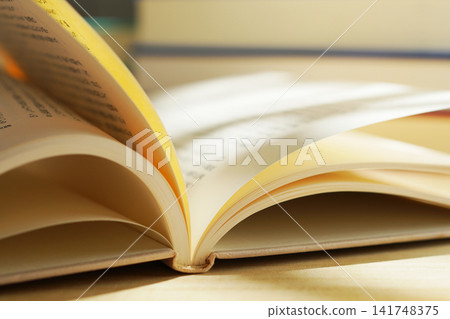 Reading / Turning the pages of a book Reading / Turning the pages of a book 141748375