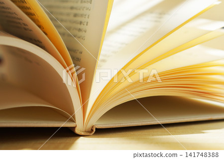 Reading / Turning the pages of a book Reading / Turning the pages of a book 141748388