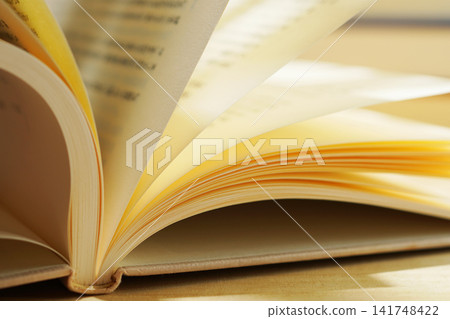閱讀/翻書頁 閱讀/翻書頁 141748422