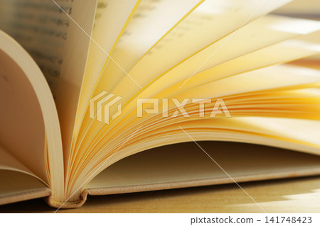 閱讀/翻書頁 閱讀/翻書頁 141748423