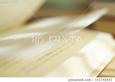 閱讀/翻書頁 閱讀/翻書頁 141748443