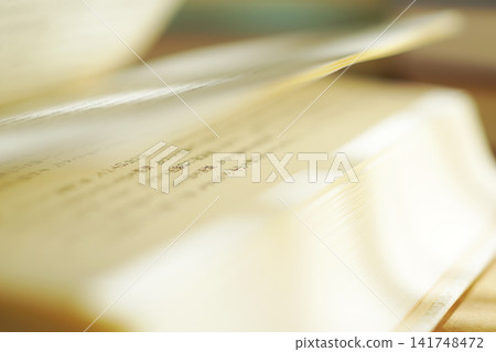 Reading / Turning the pages of a book Reading / Turning the pages of a book 141748472