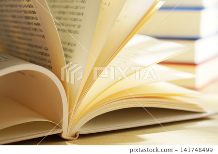 Reading / Turning the pages of a book Reading / Turning the pages of a book 141748499