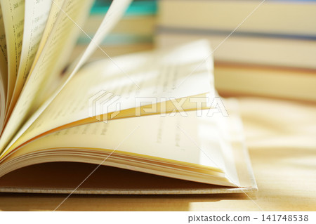 閱讀/翻書頁 141748538