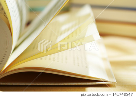 Reading / Turning the pages of a book Reading / Turning the pages of a book 141748547