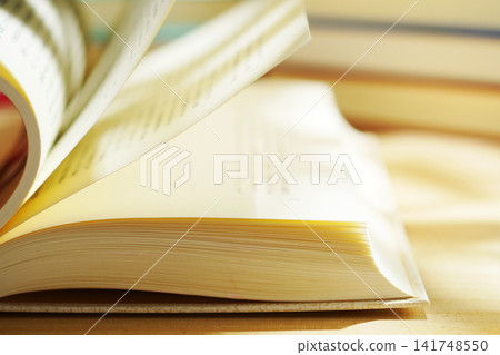 Reading / Turning the pages of a book Reading / Turning the pages of a book 141748550