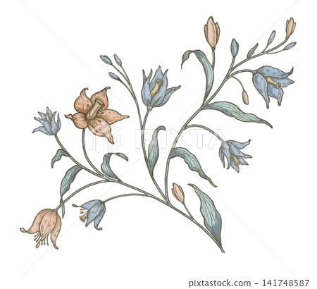 Flower watercolor illustration. Botanical floral branch isolated on background. Decorative blossom element for invitations, stationery and vintage botanical projects. Flower watercolor illustration. Botanical floral branch isolated on background. Decorative blossom element for invitations, stationery and vintage botanical projects. 141748587
