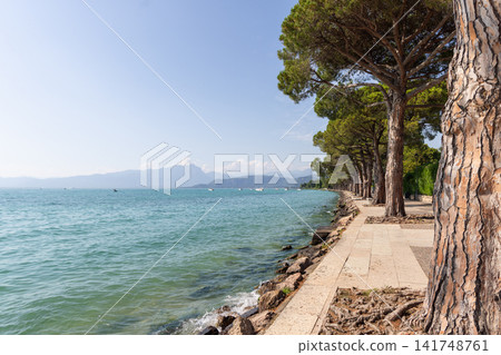 Summer pine-lined lakeside path beside Lake Garda from Lazise toward Bardolino Summer pine-lined lakeside path beside Lake Garda from Lazise toward Bardolino 141748761