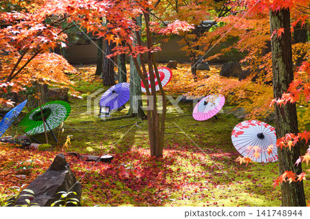 京都少林寺:美麗的秋葉(京都府京都市東山區) 京都少林寺:美麗的秋葉(京都府京都市東山區) 141748944