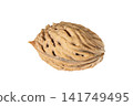 Peach pit on white close up background 141749495