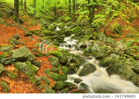Waterfall on Black creek in Czech republic Waterfall on Black creek in Czech republic 141749695