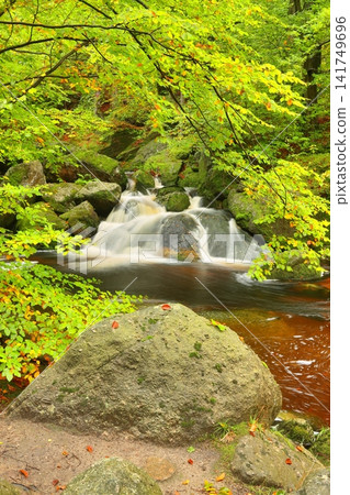 Waterfall on Black creek in Czech republic 141749696