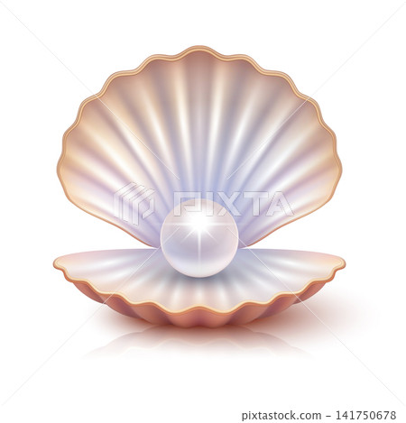Vector 3d Pearl in Open Seashell. Realistic Oyster Shell with White Pearl. Elegant Marine Treasure and Luxury Jewelry Symbol Isolated Vector 3d Pearl in Open Seashell. Realistic Oyster Shell with White Pearl. Elegant Marine Treasure and Luxury Jewelry Symbol Isolated 141750678