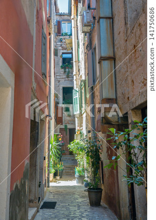 Narrow historic alleyway with potted plants in Rovinj, Croatia. Narrow historic alleyway with potted plants in Rovinj, Croatia. 141750686