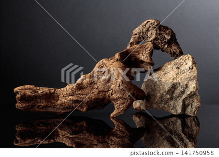 An old driftwood log and a piece of granite rock on a black reflective background. An old driftwood log and a piece of granite rock on a black reflective background. 141750958