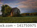 Rustic barn landscape background with old wooden farm building in grassy field 141750975