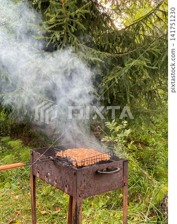 Grilling Meat On BBQ In Forest Grilling Meat On BBQ In Forest 141751230