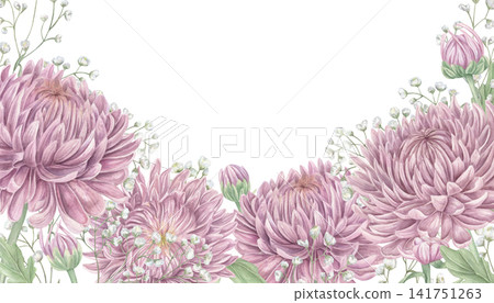 Pink chrysanthemum and baby breath flower border. Floral watercolor illustration for wedding invitation, greeting card, stationery design. Longevity, prosperity, and autumn joy in Asian traditions Pink chrysanthemum and baby breath flower border. Floral watercolor illustration for wedding invitation, greeting card, stationery design. Longevity, prosperity, and autumn joy in Asian traditions 141751263