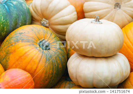 Orange and white pumpkins on hay bales seasonal autumn harvest festival. Colorful squash and gourds 141751674