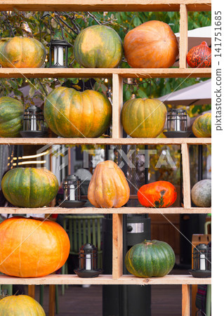 Rustic Halloween and Thanksgiving pumpkins, holiday decoration on wooden shelves with lanterns Rustic Halloween and Thanksgiving pumpkins, holiday decoration on wooden shelves with lanterns 141751685