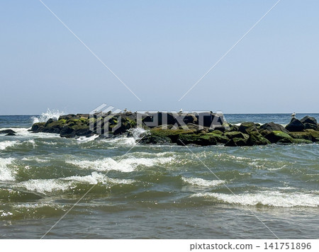 Seagulls on Rocks in Asbury Park Beach New Jersey Seagulls on Rocks in Asbury Park Beach New Jersey 141751896