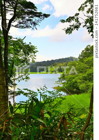 View from near Oze Marshland in Ozenuma: A summer scene. View from near Oze Marshland in Ozenuma: A summer scene. 141752661